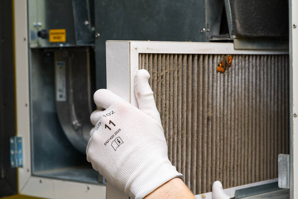 Best Affordable HVAC Duct Cleaning  in Troup, TX