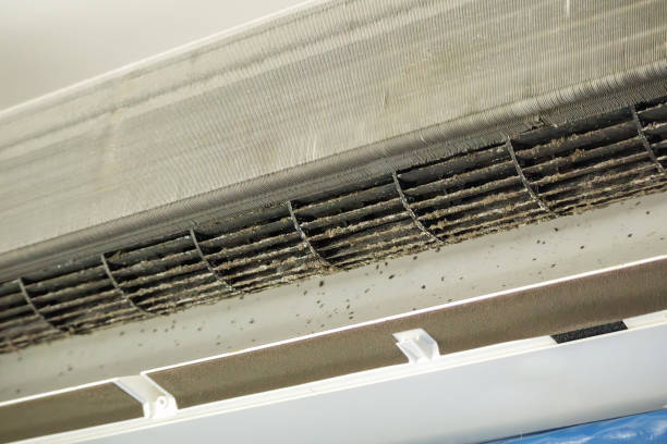 Best Professional Duct Cleaning Services  in Troup, TX